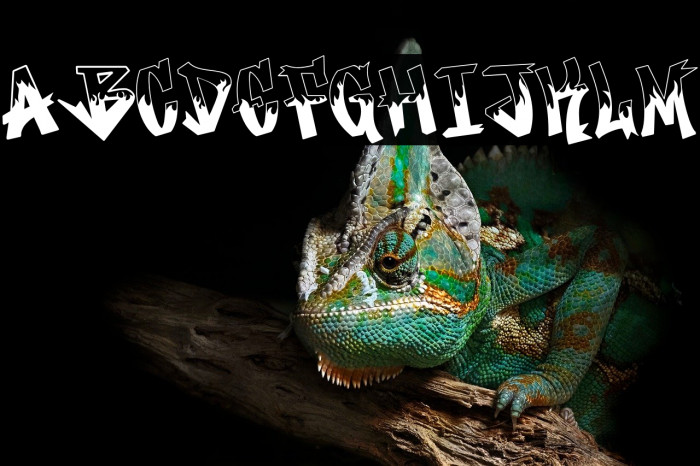 Rocker Rusher Example 2