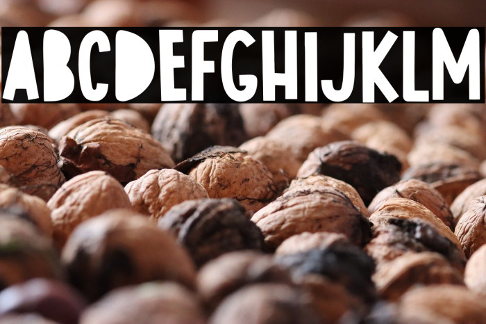 Rockers Bulshit Example 3