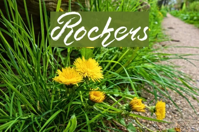 Rockers Example 2