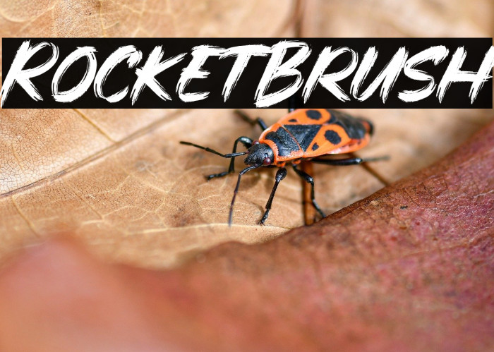 Rocket Brush Example 2