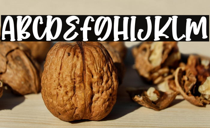 Rocket City Example 2