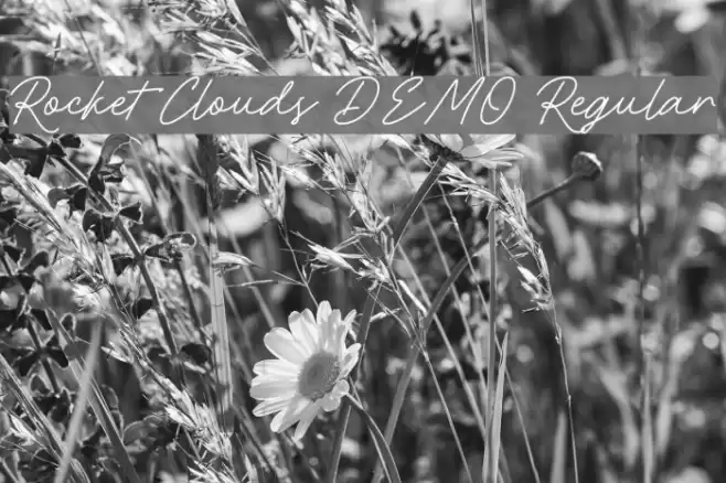Rocket Clouds DEMO Regular Font examples