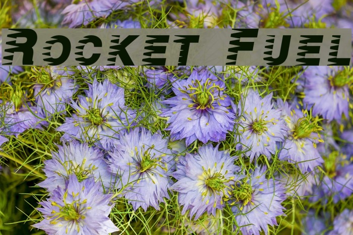 Rocket Fuel Example 3