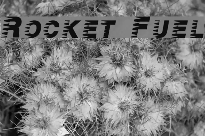 Rocket Fuel Font examples