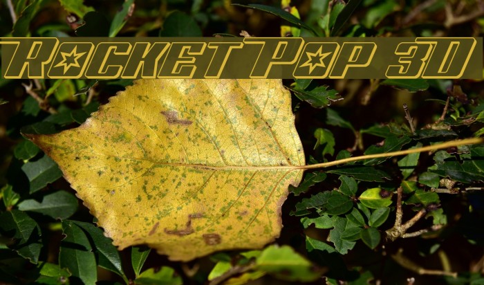 Rocket Pop 3D Font examples