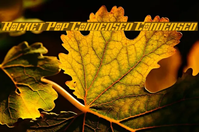 Rocket Pop Condensed Condensed Example 1