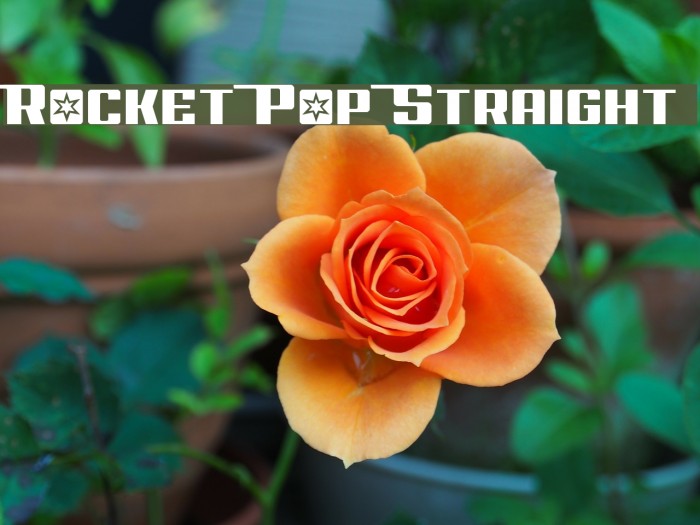 Rocket Pop Straight Font examples