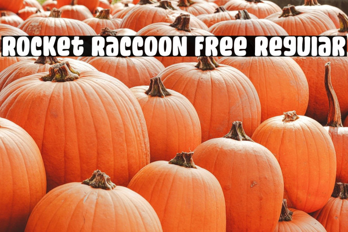 Rocket Raccoon Free Regular Example 1