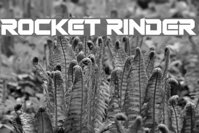 Rocket Rinder Font examples