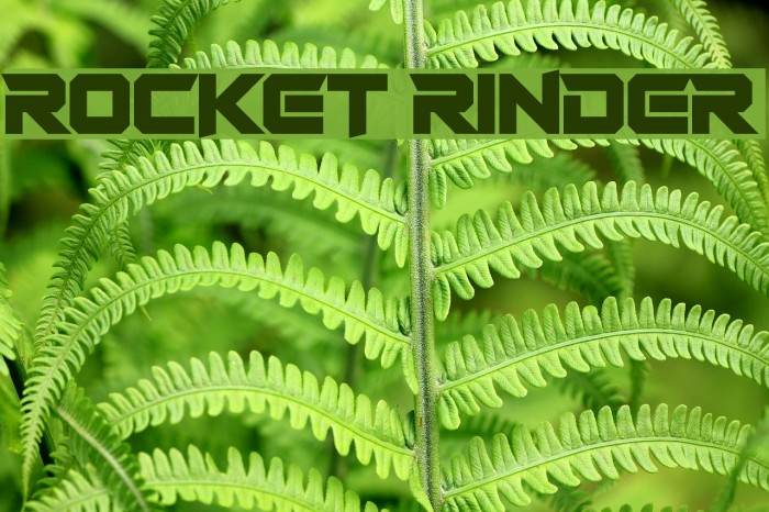 Rocket Rinder Font examples
