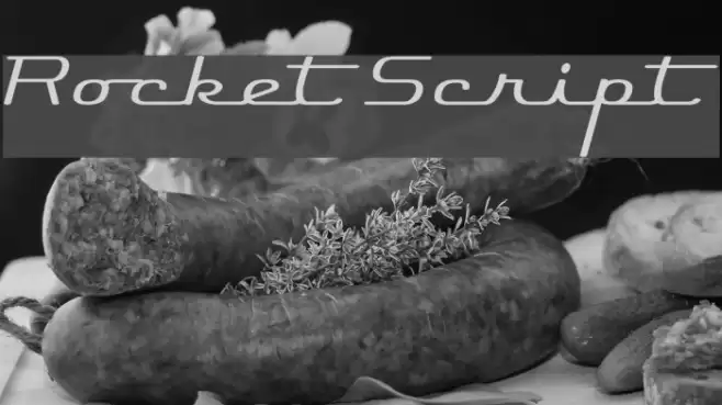 Rocket Script Font examples