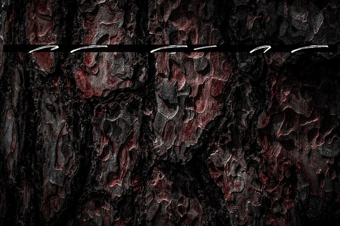 Rocket Shield Swashes Example 1