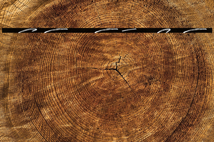 Rocket Shield Swashes Example 3