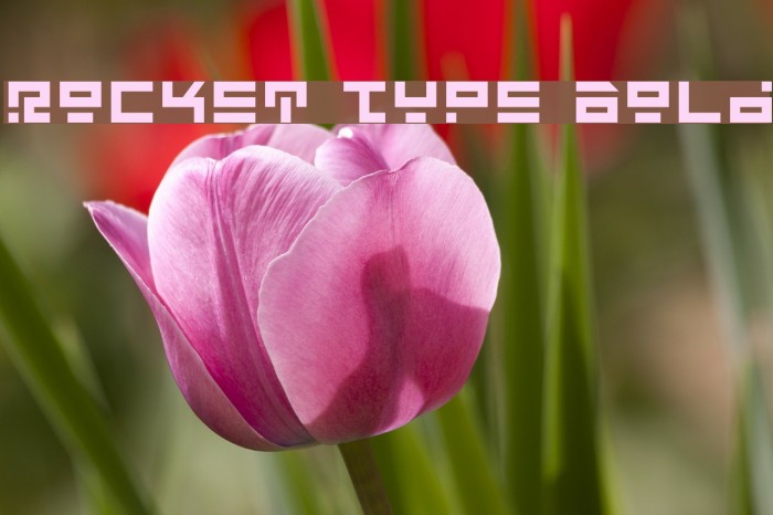 Rocket Type Bold Font examples