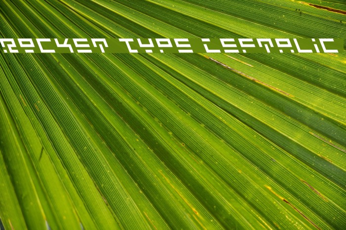 Rocket Type Leftalic Font examples