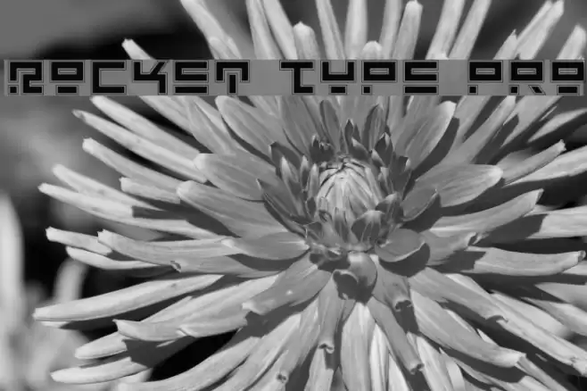 Rocket Type Pro Font examples