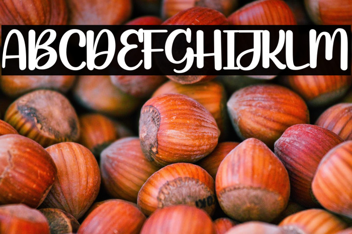 RocketChicken-Regular Example 1