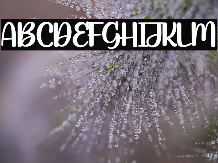 RocketChicken-Regular Example 2