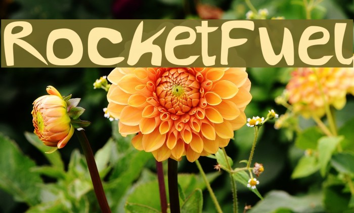 RocketFuel Font examples