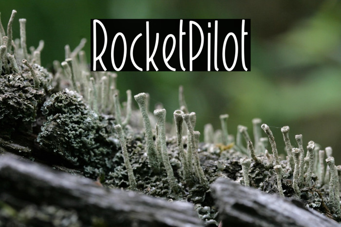RocketPilot Example 1
