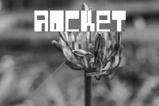 Rocket Font examples