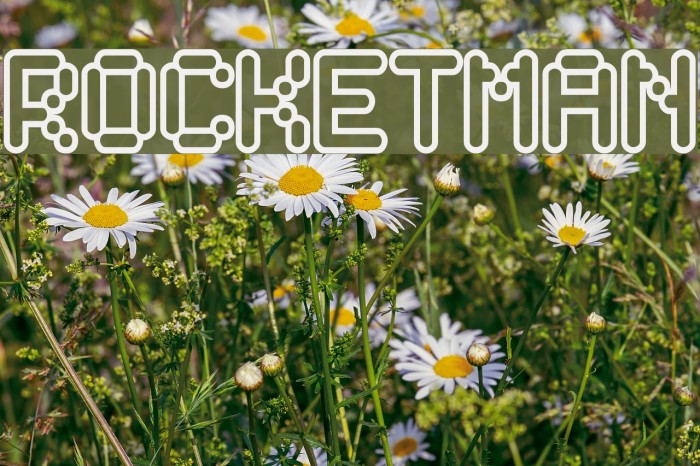Rocketman Font examples