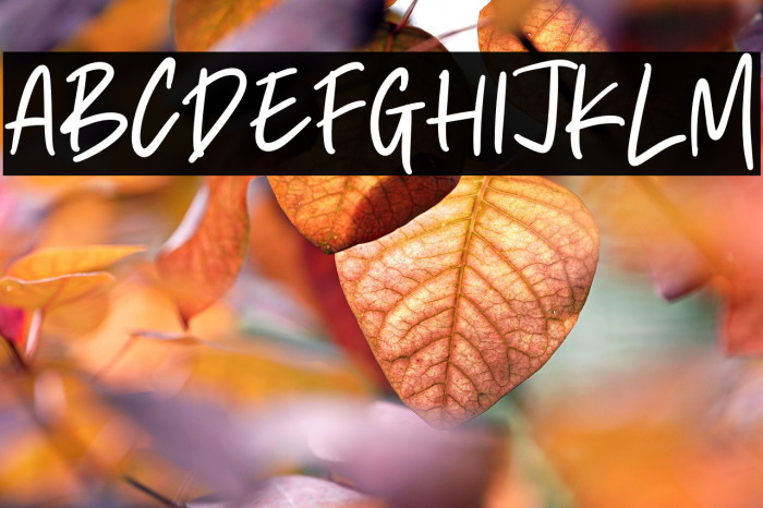 Rockets Kite Example 3