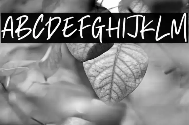 Rockets Kite Font examples