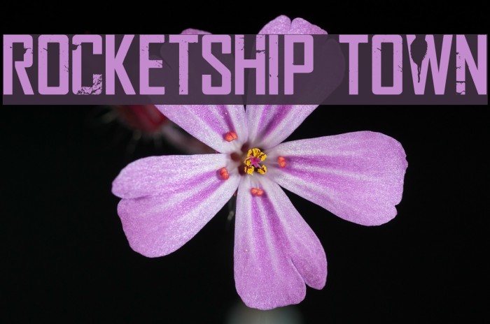 Rocketship Town Font examples