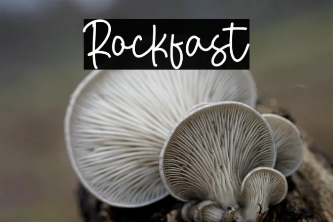 Rockfast Example 2
