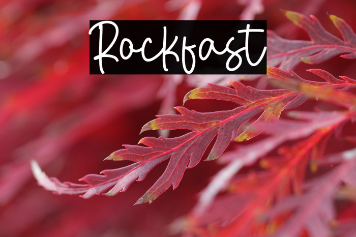 Rockfast Example 3