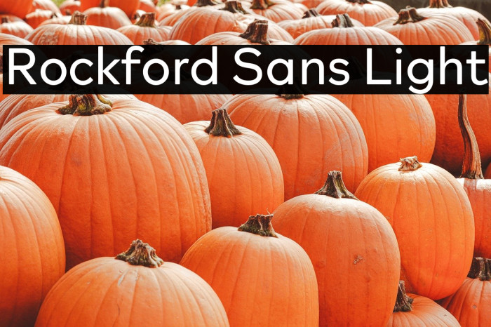 Rockford Sans Light Example 1