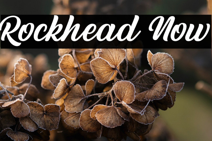 Rockhead Now Example 2