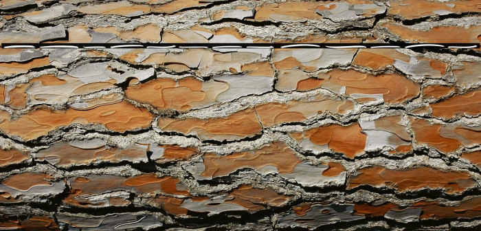 Rockhead Swash Example 1