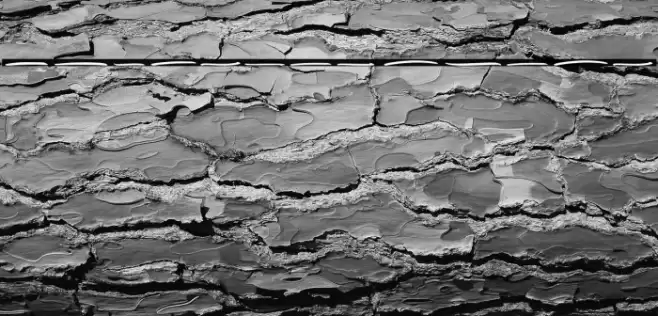 Rockhead Swash Font examples