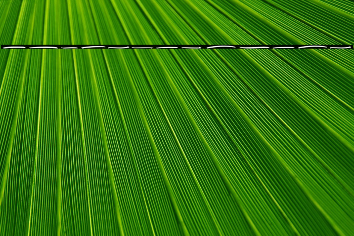 Rockhead Swash Example 2