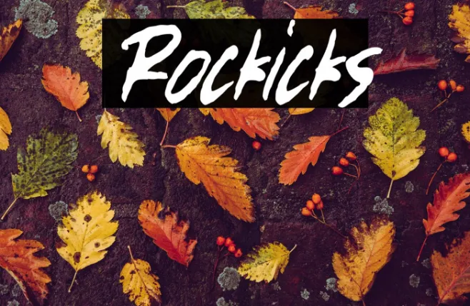 Rockicks Example 2