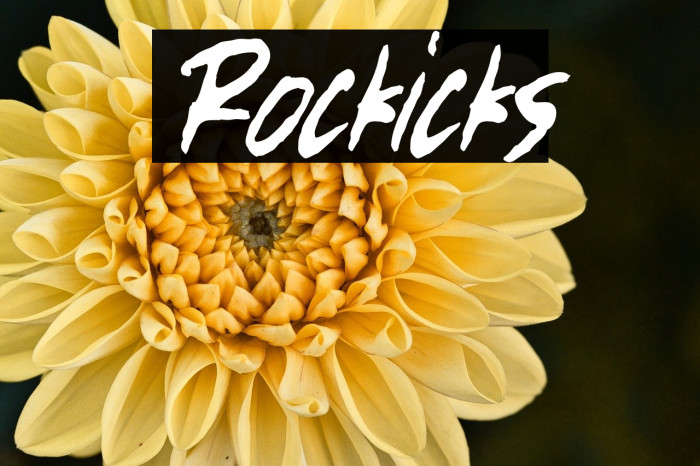 Rockicks Example 3