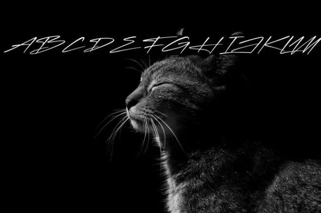 Rockidate Italic Font examples