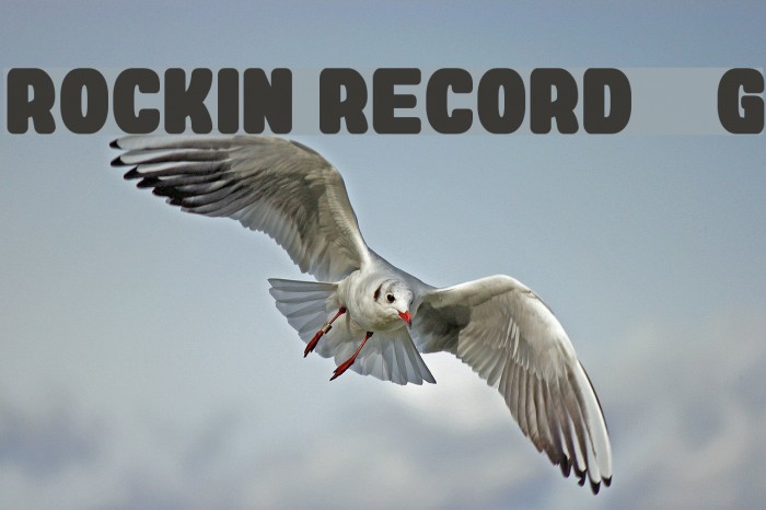 Rockin Record__G Font examples