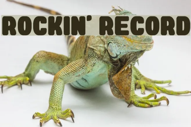 Rockin' Record Example 3