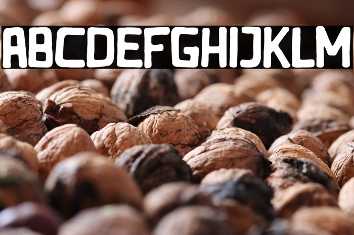 Rocking Bunny Example 1