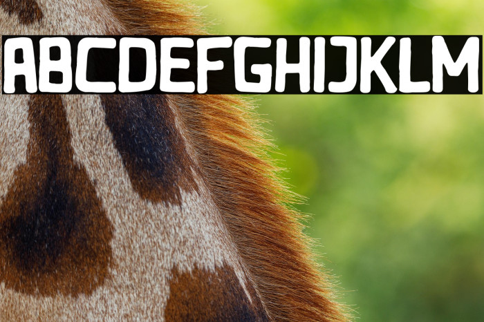 Rocking Bunny Example 3