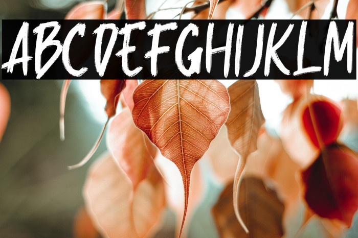 Rocking Regular Example 1