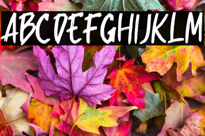 Rocking Regular Example 3