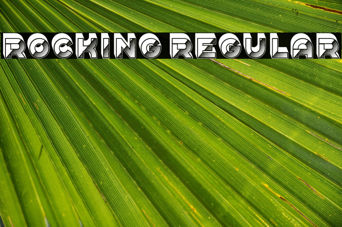 Rocking Regular Example 1