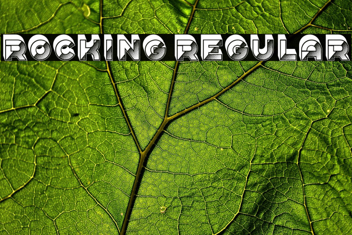 Rocking Regular Example 2