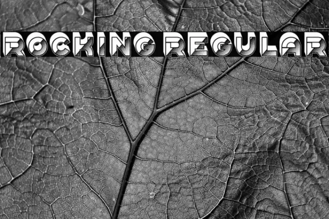 Rocking Regular Font examples