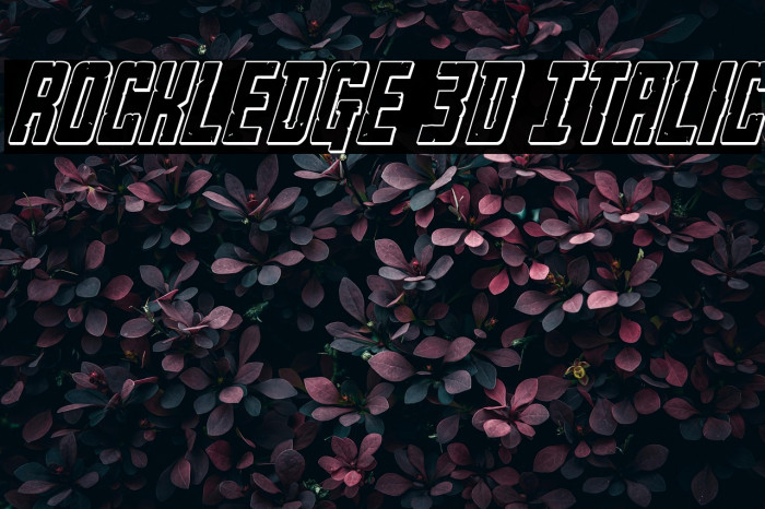 Rockledge 3D Italic Example 1