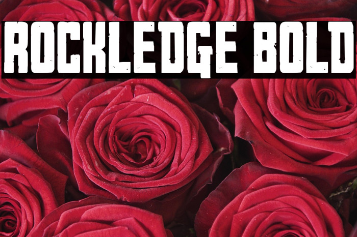 Rockledge Bold Example 1